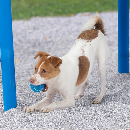 Best Pet Supplies Interactive Squeaky Dog Chew Toy, Ideal Dog Toys for Chewers, Small, Medium & Large Dogs, and Fetch Lovers - Tennis (Assorted Color), Small (Pack of 4)