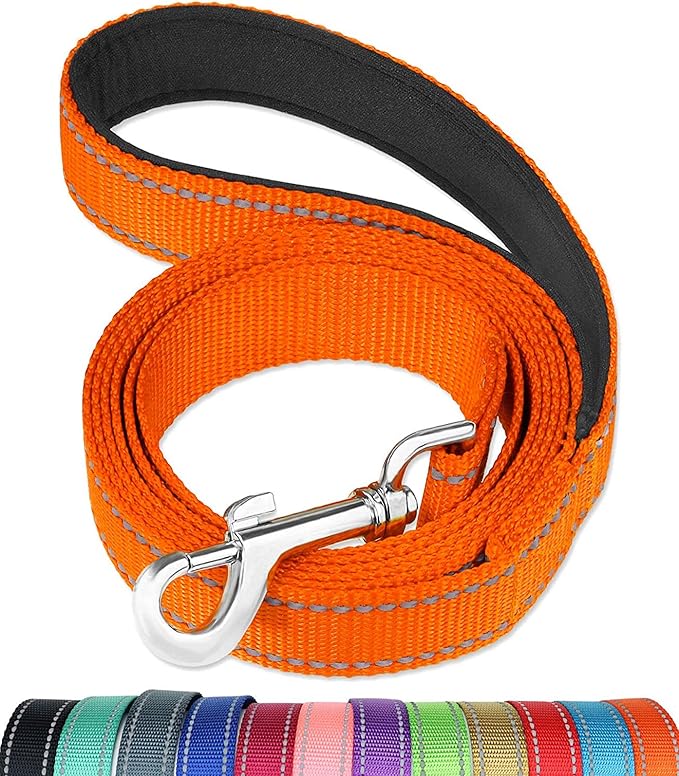 FunTags 4FT Reflective Dog Leash with Soft Padded Handle for Training,Walking Lead for Medium & Small Dogs,3/4 Inch Wide,Orange
