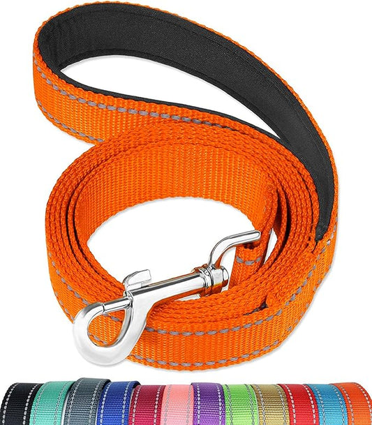 FunTags 6FT Reflective Dog Leash with Soft Padded Handle for Training,Walking Lead for Medium & Small Dogs,3/4 Inch Wide,Range