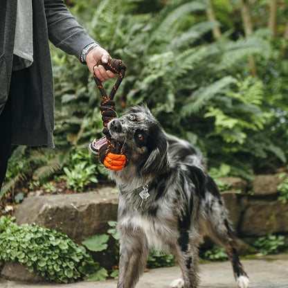 P.L.A.Y. Cute Outdoor Dog Toys - Scout & About Tug Ball Rope Toy, Great for Puppies & Small, Medium, Large Dogs - Machine Washable, Ultra-Durable, Good for Agility Training, Tugging, Fetch (Large)