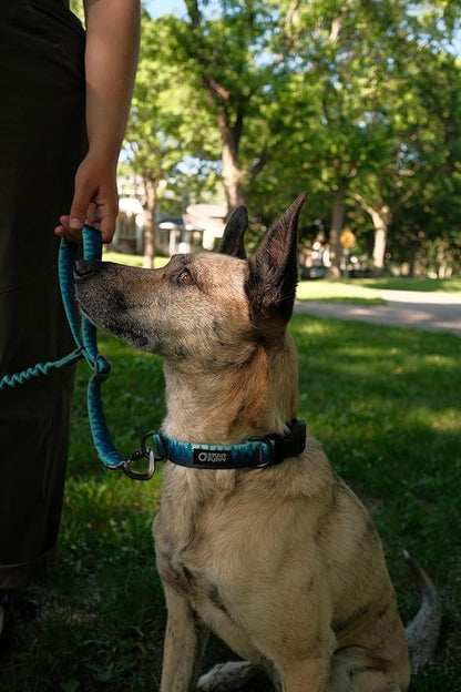 Stunt Puppy Stunt Runner Hands-Free Dog Leash, Pines Blue