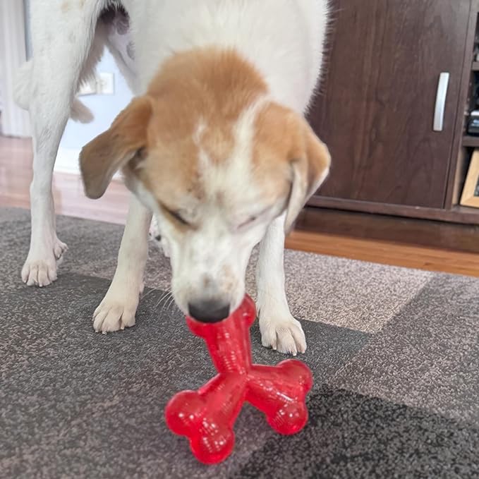 SPOT Play Strong Trident Bone - Durable TPR Long Lasting Dog Chew for Aggressive Chewers, Hole for Treats, Virtually Indestructible Toy for Large Dogs & Puppies up to 90lbs - 6 inch