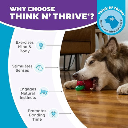 Outward Hound Gummiez Cherries Dog Toy & Treat Stuffer, 4″ x 4″ Cherry-Scent Interactive Chew for Dogs, Promote Healthy Teeth, Gums & Mental Enrichment, Reduce Boredom & Support Dental Health