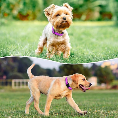 Reflective Dog Collar Padded with Soft Neoprene Breathable Quick Release Basic Dog Collars for Medium Large Dogs Dark Magenta