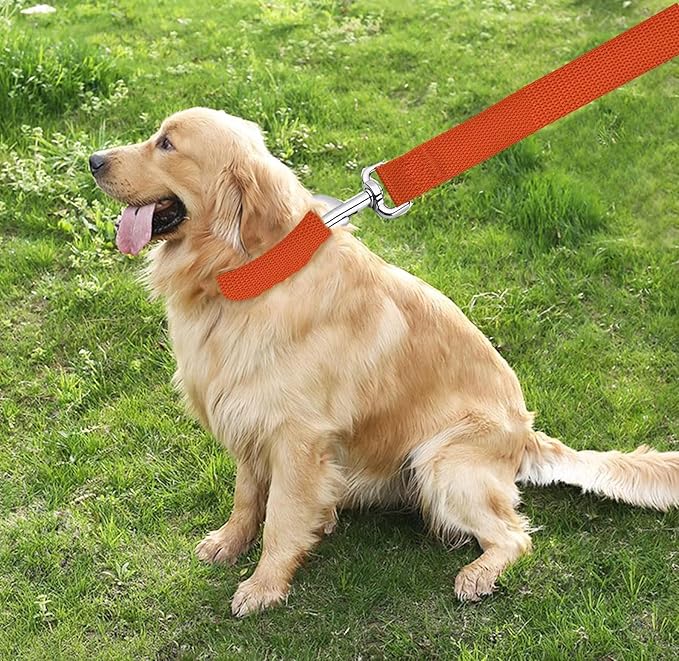 TAIAN 4FT/5FT/6FT Strong Dog Leash, Nylon Dog Leashes for Small Medium Large Dogs (5/8 in x 5 ft, Orange)