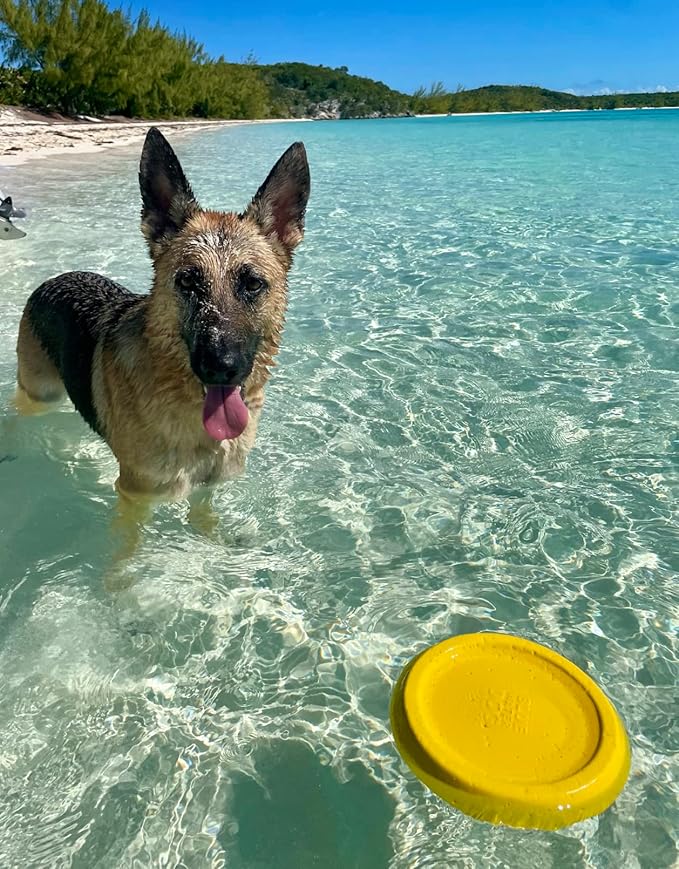 Frisbee, Floating, Waterproof, Lightweight, Durable Foam, Aerodynamic Disc for Medium and Large Dogs Puppy - Frisbee for Fetch, Catch, Play, 8.5” (White)