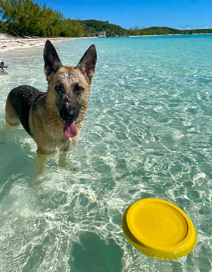 Frisbee, Floating, Waterproof, Lightweight, Durable Foam, Aerodynamic Disc for Medium and Large Dogs Puppy - Frisbee for Fetch, Catch, Play, 8.5” (White)