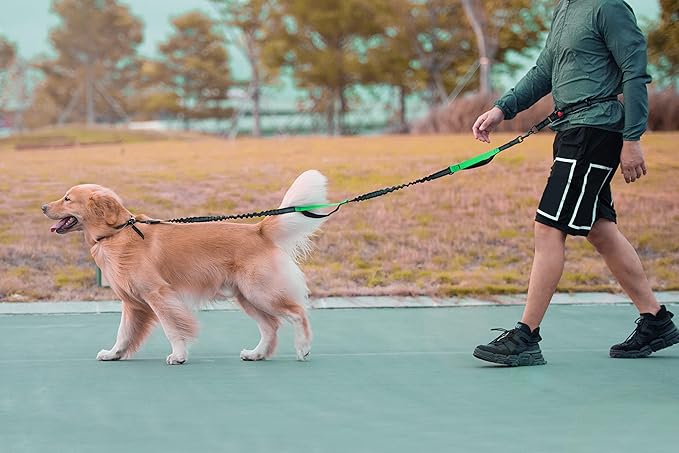 Hands Free Dog Leash for Running, Walking, Hiking, Durable Dual-Handle Bungee Leash with Reflective Stitching and an Adjustable Waist Belt, for Up to 150 lbs Large Dogs (Medium/Large, Black)