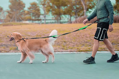 Hands Free Dog Leash for Running, Walking, Hiking, Durable Dual-Handle Bungee Leash with Reflective Stitching and an Adjustable Waist Belt, for Up to 150 lbs Large Dogs (Medium/Large, Black)