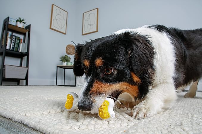 Hartz Chew ‘n Clean Twisty Bone Dog Chew Toy, Bacon Scented Chew Toy for Moderate Chewers, Small/Medium, Color Varies (Pack of 2)