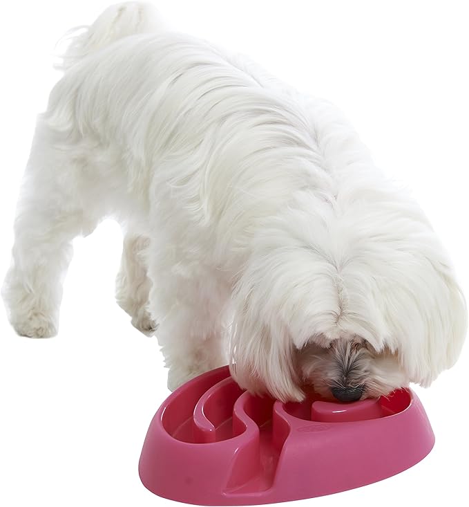 Kruuse Buster DogMaze Mini Pink Bowl – Non-Toxic Interactive Slow Feeder for Better Digestion & Energy