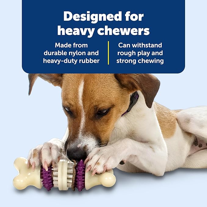 PetSafe Busy Buddy Bristle Bone - Chew Toy for Dental Health Support - Durable Dog Plaything for Tough Chewers - Includes 4 Refillable Treat Rings - Safe Chew Toy for Large Dogs (50-90 lbs)