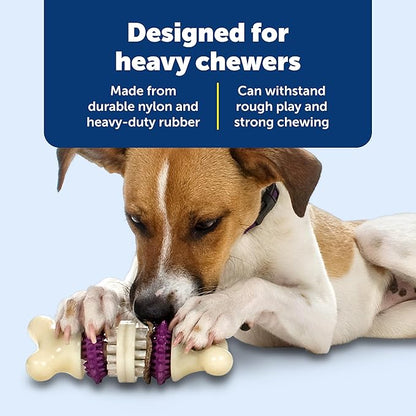 PetSafe Busy Buddy Bristle Bone - Chew Toy for Dental Health Support - Durable Dog Plaything for Tough Chewers - Includes 4 Refillable Treat Rings - Safe Chew Toy for Large Dogs (50-90 lbs)