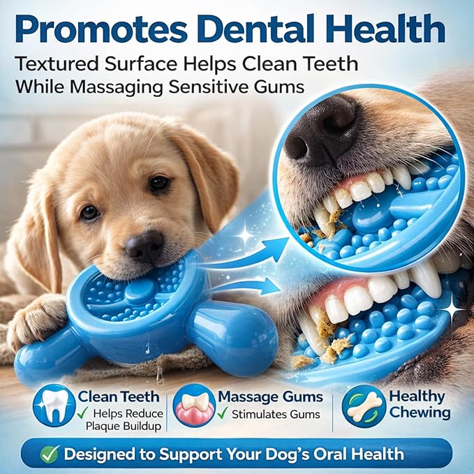 Dog Chew Toy for Aggressive Chewers – Tough Nylon Dog Toy for Teething Small Breeds, Durable Puppy Bone for Teeth Cleaning & Boredom Relief, Ideal Dog Birthday Gift,Sky Blue