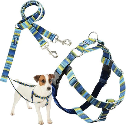 2 Hounds Design - Freedom No-Pull Harness & Training Leash in Blue and Green | Dual Leash Loops, No Pulling on Walks | Lined to Prevent Chaffing | for Small Sized Dogs (Size S, Chest 20”- 24”)