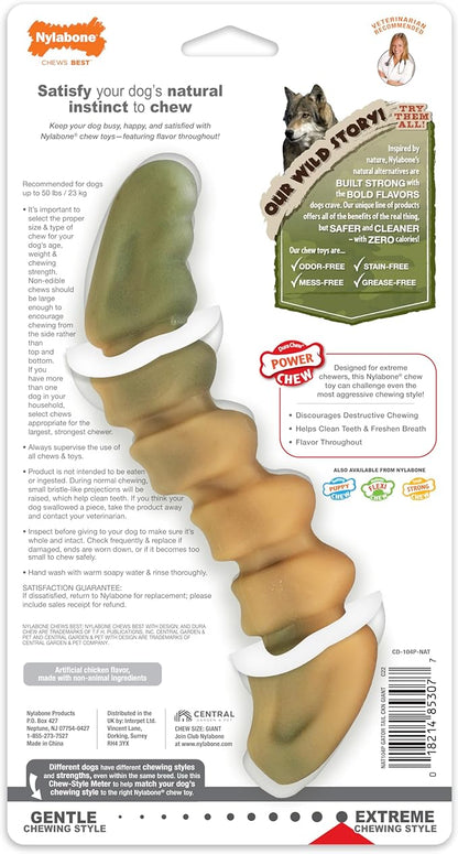 Nylabone Gator Tail Alternative Power Chew Toy for Dogs, Dog Toys for Aggressive Chewers, Chicken Flavor, Large - Up to 50 lbs, 1 Count