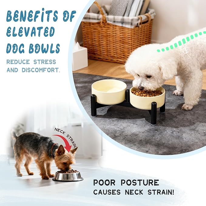 Elevated Ceramic Dog Bowl Set - Cute Double Dishes with Stainless Steel Stand – Raised Feeding Bowls for Cats and Small Dogs - Food & Water Set - 5" / 1.4 Cups (140 g / 260 ml) - Yellow