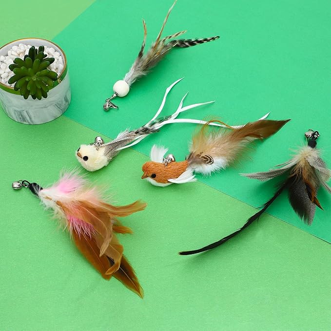 8 Pieces Cat Feather Toys Replacement Bird Insect Cat Toy Wand Refills Cats Toy Replacement Natural Bird Feathers for Cats Toys
