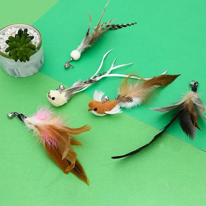 8 Pieces Cat Feather Toys Replacement Bird Insect Cat Toy Wand Refills Cats Toy Replacement Natural Bird Feathers for Cats Toys