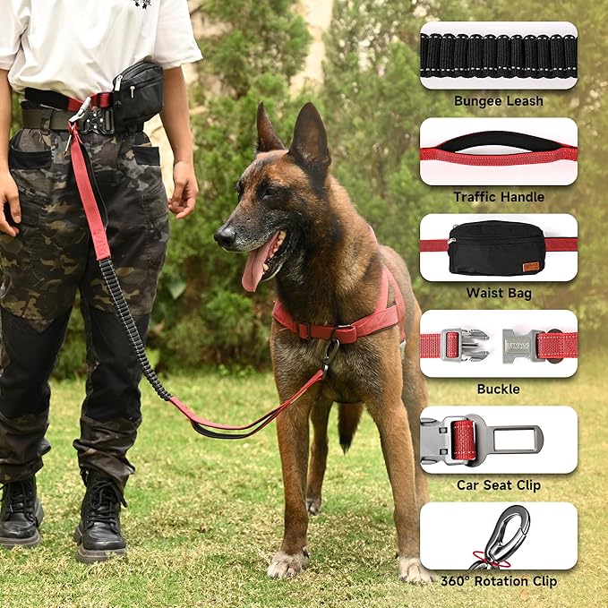 Hands Free Dog Leash with Zipper Pouch, Double Handle Running Reflective Bungee Waist Leash for Dog Walking, Training and Hiking for Small Medium Large Dogs (Red)