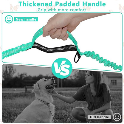 Hands Free Dog Leash with Zipper Pouch, Running Waist Leash for Dog Walking, Adjustable Waist Belt for Large Dogs, Reflective Bungee Design with Two Handle for Hiking, Training, Teal
