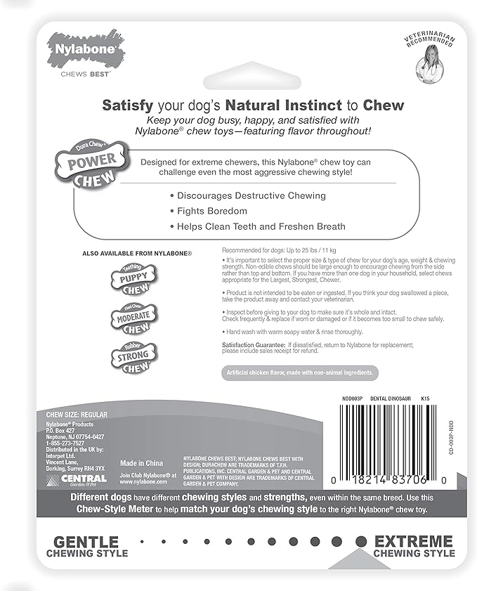 Nylabone Dental Dinosaur Power Chew Toy for Dogs, Dog Toys for Aggressive Chewers, Chicken Flavor, Small - Up to 25 lbs, 1 Count