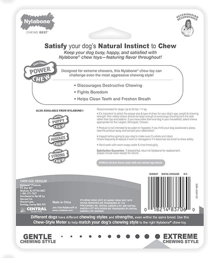 Nylabone Dental Dinosaur Power Chew Toy for Dogs, Dog Toys for Aggressive Chewers, Chicken Flavor, Small - Up to 25 lbs, 1 Count