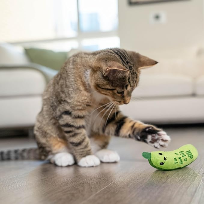 Catstages Crunchy Pickle Kicker Cat Toy – Plush Crinkle Toy with Catnip and Dental Mesh,6.5",(Pack of 2)