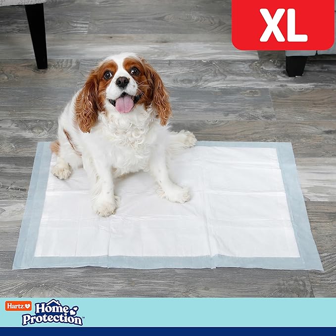 Hartz Home Protection Super Absorbent Odor Eliminating Mountain Fresh Scented No Leaks Dog Pads, XL 30 Count