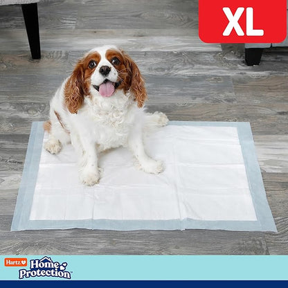 Hartz Home Protection Super Absorbent Odor Eliminating Mountain Fresh Scented No Leaks Dog Pads, XL 30 Count