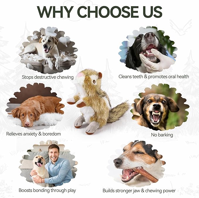 ALL FOR PAWS Squirrel Squeaky Doy Toy, Squirrel Dog Toy for Medium Large Breed, Puppy Fetch Toy with Squeaker, Plush Chew Dog Toy, 13.8 x 3.9 x 4.1inches, Chipmunk-L