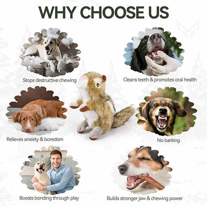 ALL FOR PAWS Squirrel Squeaky Doy Toy, Squirrel Dog Toy for Medium Large Breed, Puppy Fetch Toy with Squeaker, Plush Chew Dog Toy, 13.8 x 3.9 x 4.1inches, Chipmunk-L