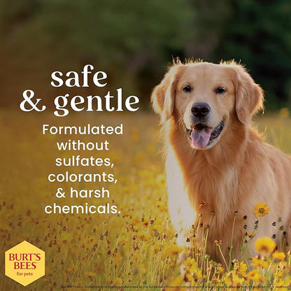 BURT'S BEES FOR PETS Deodorizing Spray for Dogs with Apple and Rosemary, 99.7% Natural Origin Formulas, Waterless Dog Shampoo - Gentle Dry Shampoo for Dogs, Best Dog Shampoo, 10 oz