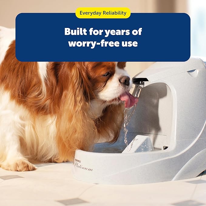 PetSafe Healthy Pet Simply Feed Power Adaptor - Durable OEM Food Dispenser Adaptor - Travel-Friendly Spare Charger with Versatile Voltage Compatibility - Additional Power Source Minimizes Downtime