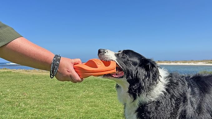 Van Ness Pets Doggi Catch and Carry Flying Disc Floating Dog Toy, Large, Orange