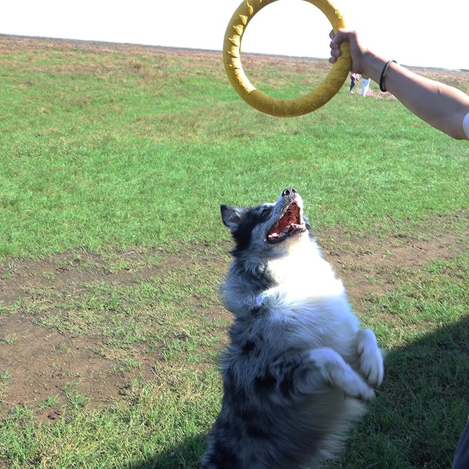Dog Toys, Dog Chew Toys for Aggressive Chewers,Flying Discs for Medium/Large Breeds. Floating Dog Ring Toys for Throwing, Catching, Grabbing. (Large)