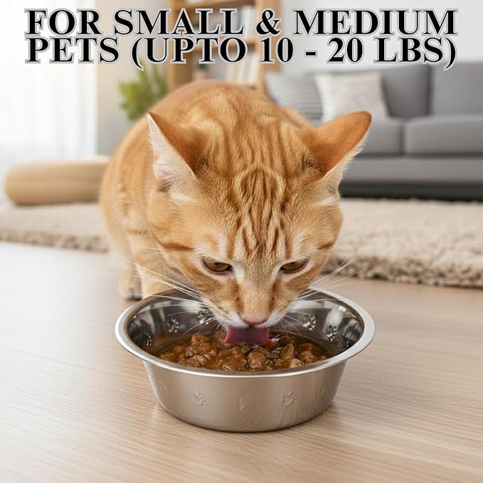 2-Pack Stainless Steel Dog and Cat Bowls Replacement Embossed Bowl 6.1" Diameter, 2.2" Height (Small, Dishwasher Safe)