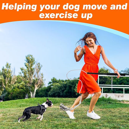Flirt Pole for Dogs Outdoor Chase Toy Interactive Flirt Pole for Outdoor Exercise & Training Heavy Duty Dog Teaser Wand with Rope Durable Dog Fishing Pole Toy Flirt Stick for Small & Medium Dogs