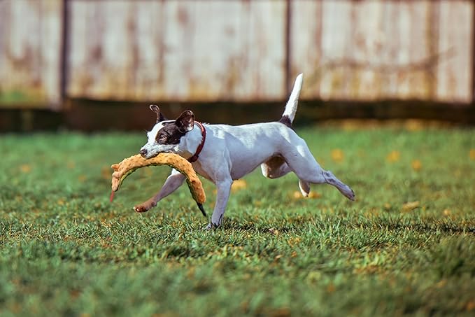 SPOT Skinneeez Extreme Triple Squeak Snake - Durable, Stuffing-Free Dog Toy with Rip-Stop Mesh & 3 Jumbo Squeakers, Built for Aggressive Chewers - Perfect for Medium to Large Dogs & Puppies, 25 inch