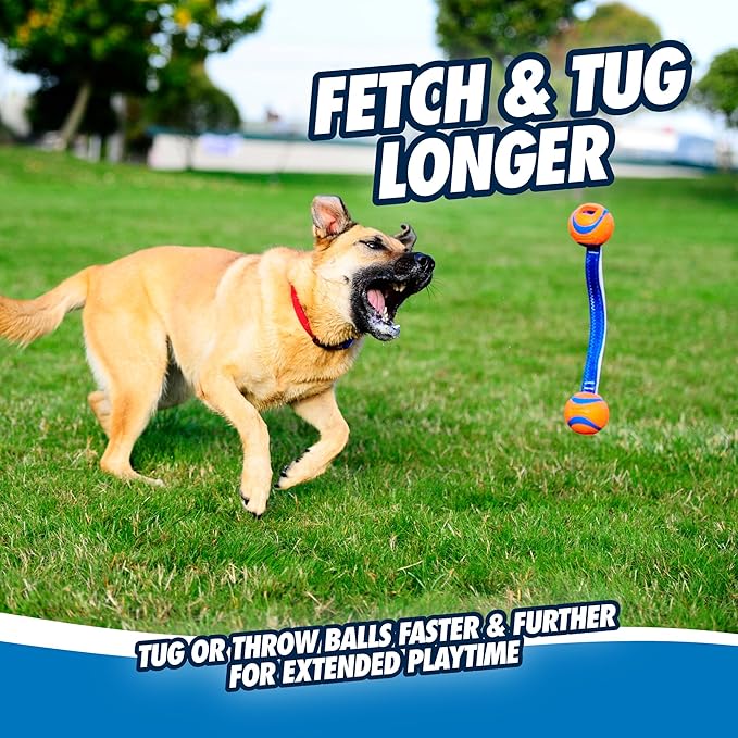 Chuckit! Ultra Duo Tug Dog Toy - Two Ultra Balls on a Durable Nylon Cord Handle - Fetch and Tug-of-War Toy for Dogs - Size Medium - For Breeds 20-60 lbs - 2.5-inch Diameter - Orange and Blue