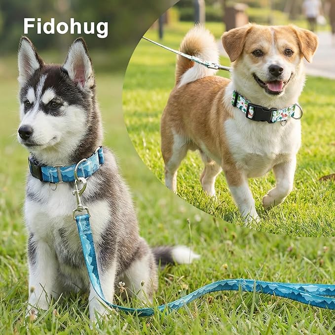 5ft Nylon Dog Leash with Soft Neoprene Handle for Small Dogs, Blue Sunset