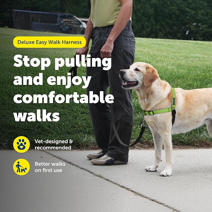 PetSafe Deluxe Easy Walk Harness - Trainer-Trusted Dog Chest Harness with Breathable Martingale Loop Design - Helps Stop Pulling with No Choking & Gagging - Medium/Large - Apple