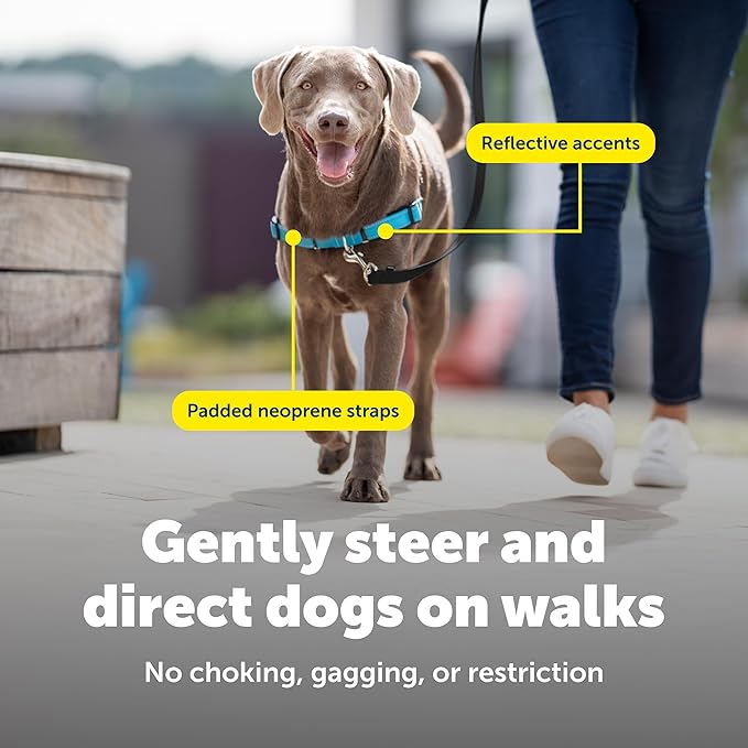 PetSafe Easy Walk Deluxe Dog Harness, No Pull Dog Harness – Perfect for Leash & Harness Training – Stops Pets from Pulling and Choking on Walks – Medium, Ocean
