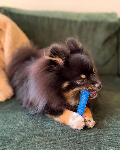 Nylabone Textured Dental Bone Flexi Chew Toy for Dogs, Dog Toys for Moderate Chewers, Chicken Flavor, Small - Up to 25 Ibs, 1 Count