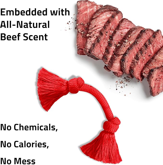 Playology Dri Tech Rope Medium Chew Toy, Peanut Butter & Beef, 2-Pack
