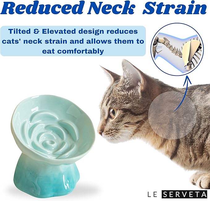 Elevated Ceramic Cat Bowl, Tilted Slow Feeder Pet Dish with Gradient Color Coating, 3.3 Ounces Capacity, Anti-Gulping Design with Rose Bouquet Design (Gradient Green)