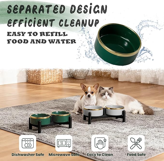 Elevated Ceramic Dog Bowl Set - Double Dishes with Stainless Steel Stand – Raised Feeding Bowls for Cats and Small Dogs - Food & Water Set - 5" / 1.6 Cups (160 g / 300 ml) - Green