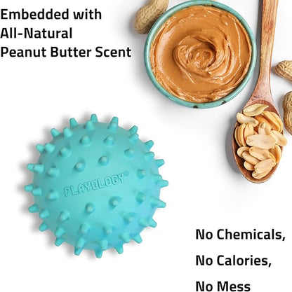 Playology Dog Toys | Spiky Chew Ball for Medium Dogs | Peanut Butter Scented Toy for Tough Chewers - Easy to Clean and Made from Non Toxic Materials