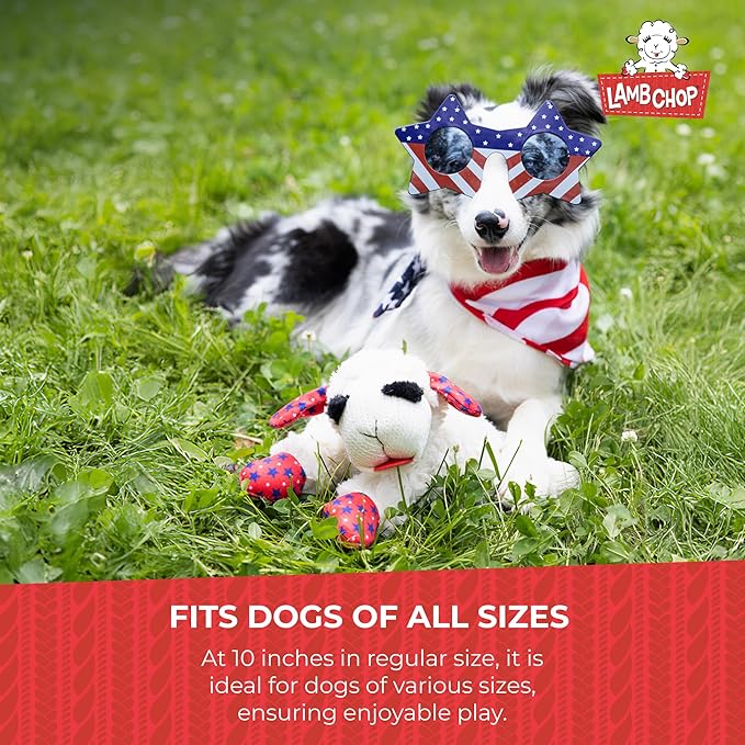 Multipet Lamb Chop Dog Plush Toy - Squeaky Toy for Small & Medium Dogs - Extra Soft Plush - Stuffed Animal for Cuddling & Playing (10", Cream, 5 Squeakers)