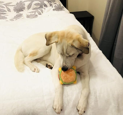 Glow Pups Hamburger Dog Toy with Squeaker, Fun Food Parody Plush Toy, Easy to Clean, Promotes Mental Stimulation, 4.5 x 3.5 inches, Peach